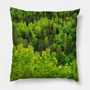 Spring forest texture Pillow