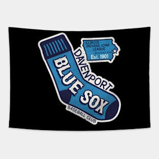 Davenport Blue Sox Baseball Team Tapestry