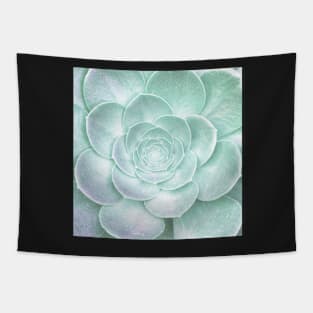 Plants print, pastel mint green Houseleek Tapestry