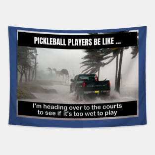 Pickleball - Courts Are Too Wet to Play Tapestry