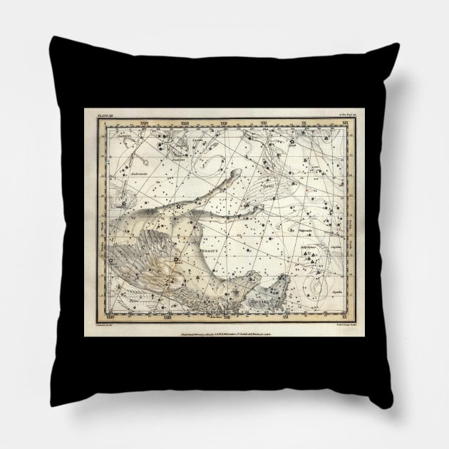 Pegasus Constellation - Alexander Jamieson Pillow by forgottenbeauty