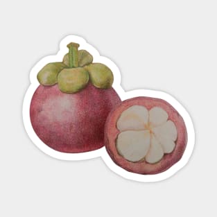 Cute Mangosteen fruit, Thai fruit Magnet