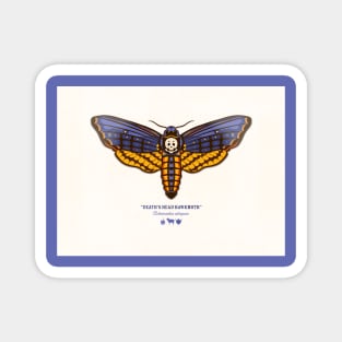 Deaths Head Hawkmoth Magnet