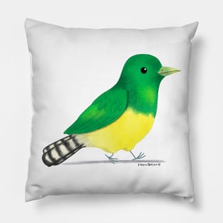 African Emerald Cuckoo Pillow