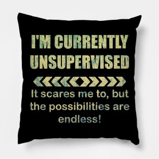 I'M CURRENTLY UNSUPERVISED Pillow