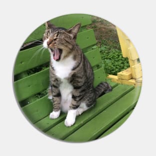 Yawning Cat on Garden Bench Pin