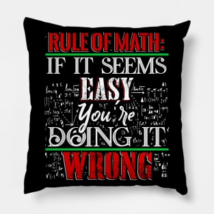 Rule of Math Pillow