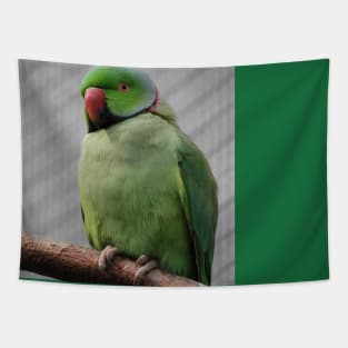 Perched Parakeet Tapestry