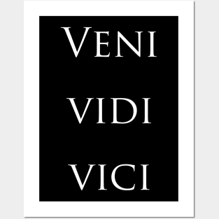 Veni Vidi Vici Poster for Sale by JPK21