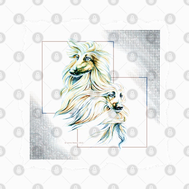 Afghan Hound colour accented graphite. by chepea2