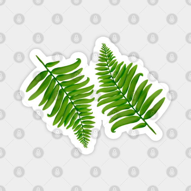 Fern Graphic Magnet by Kraina