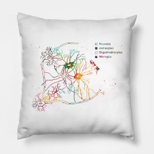 Cortical pyramidal cells Pillow