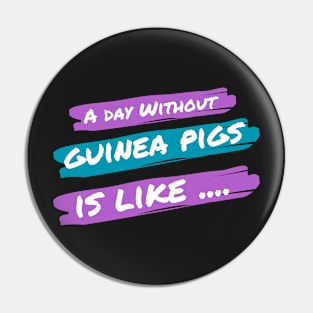 A Day Without Guinea Pigs Is Like .... Pin