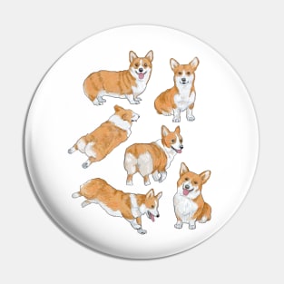 Corgis! Pin