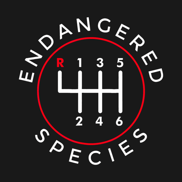 Endangered Species Manual Gearbox Stick Shift 6 Speed by Aleem James