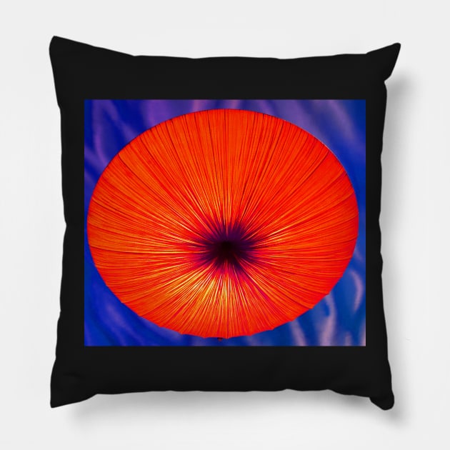 Space Flower Pillow by dltphoto