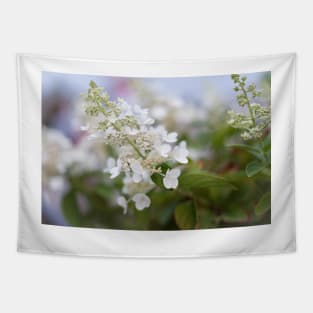 White Hydrangea Flowers with Pastel Background Tapestry