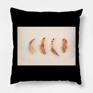 Feather Collection #1 Pillow