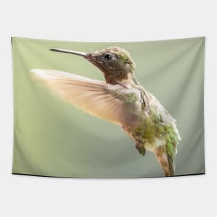 Ruby-throated Hummingbird in flight Tapestry