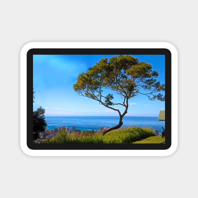 Tree at Punchbowl Hawaii Magnet by EileenMcVey