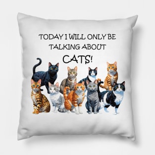 Today I will only be talking about cats - funny watercolour cat design Pillow
