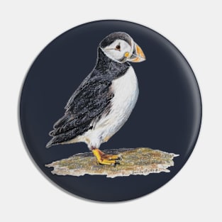 Atlantic Puffin drawing Pin