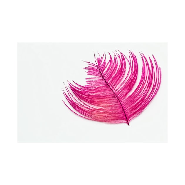 Pink Metallic Single Feather by SHWILDLIFE