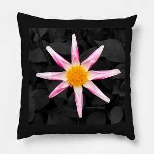 Star Flower Art Pillow