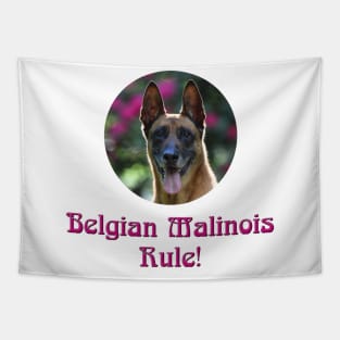 Belgian Malinois Rule! Tapestry