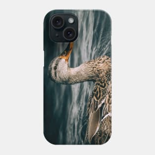 Female Mallard Duck, Embraces the Freezing Water Photograph Phone Case