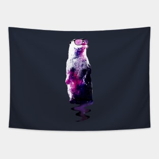 Galaxy Otter Tapestry