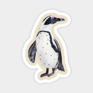 African Penguin Magnet