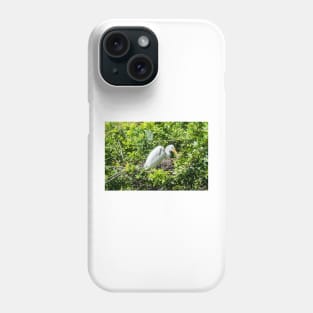 Nesting Great egret Phone Case