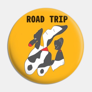 kidnapped to a road trip Pin