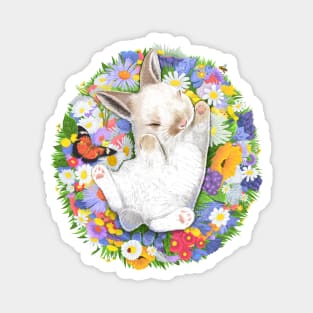 Little sleeping rabbit Magnet