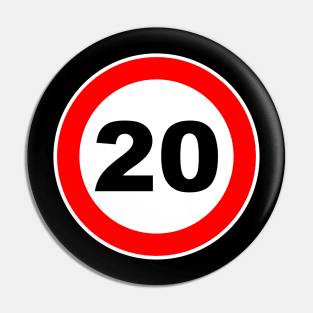 20th Birthday Gift Road Sign anniversary Pin