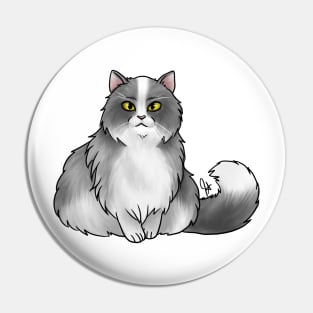 Cat - British Longhair - White and Gray Pin