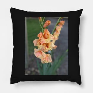 Stalk of Peach Flowers Photographic Image Pillow