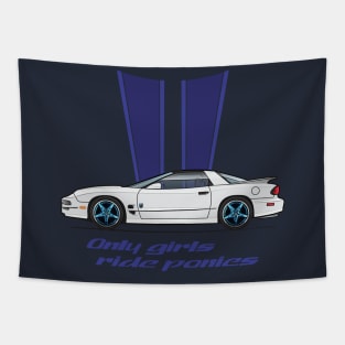 30th coupe Tapestry