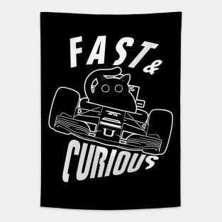 Funny Fast & Curious Car Driving Cat Tapestry