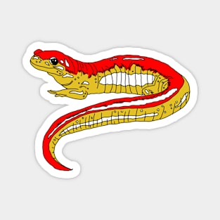 Red and Yellow Salamander Magnet