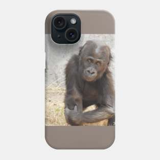 Western Lowland Gorilla Phone Case