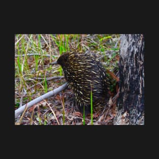 Echidna in the Bush! T-Shirt