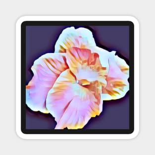 White, Pink, Marron, Gold, Tropical Canna Lily with Purple Background Magnet