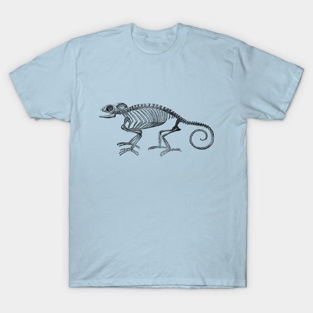 Discover Chameleon - Chameleon - T-Shirt