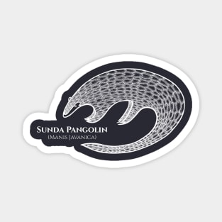 Sunda Pangolin with Common and Latin Names - beautiful animal design Magnet