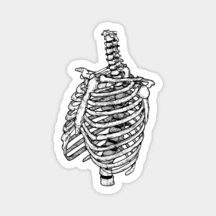 Ribcage Magnet