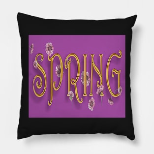 Spring Pillow