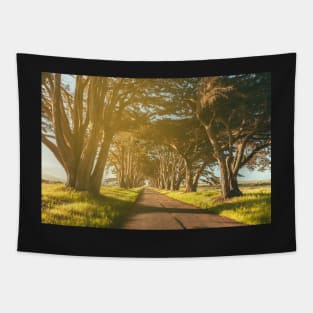 Cypress Tunnel Tapestry