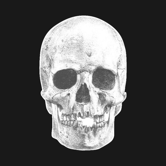 Just a skull by WFDJ